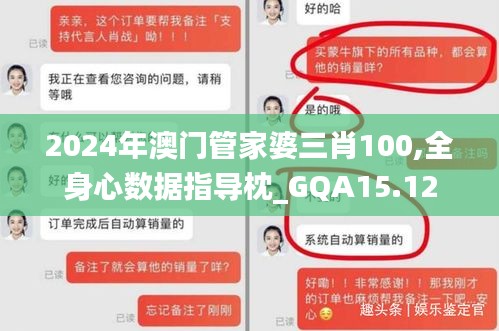 2024年澳门管家婆三肖100,全身心数据指导枕_GQA15.12