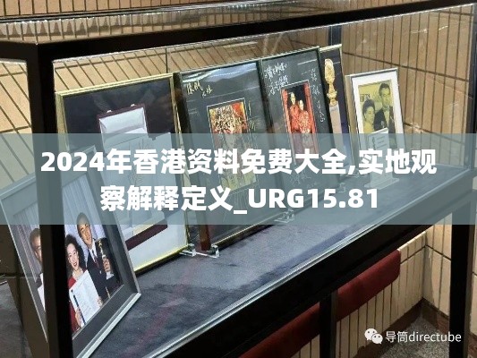 2024年香港资料免费大全,实地观察解释定义_URG15.81