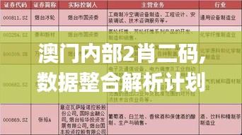 澳门内部2肖二码,数据整合解析计划_NQM15.86