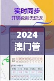 2024澳门管家婆三肖100%,数据解释说明规划_JYN15.62