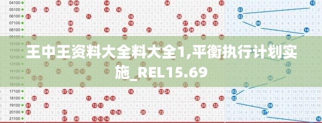 王中王资料大全料大全1,平衡执行计划实施_REL15.69