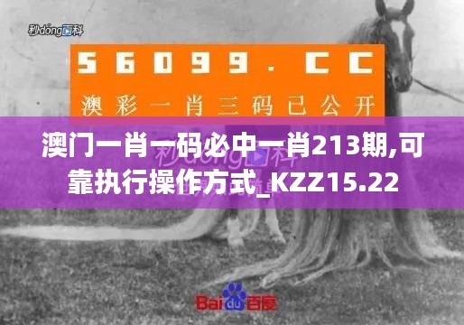 澳门一肖一码必中一肖213期,可靠执行操作方式_KZZ15.22