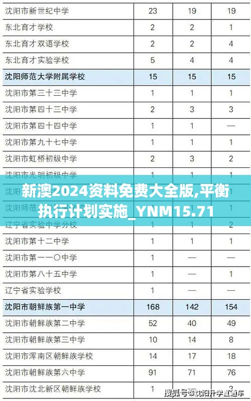 新澳2024资料免费大全版,平衡执行计划实施_YNM15.71