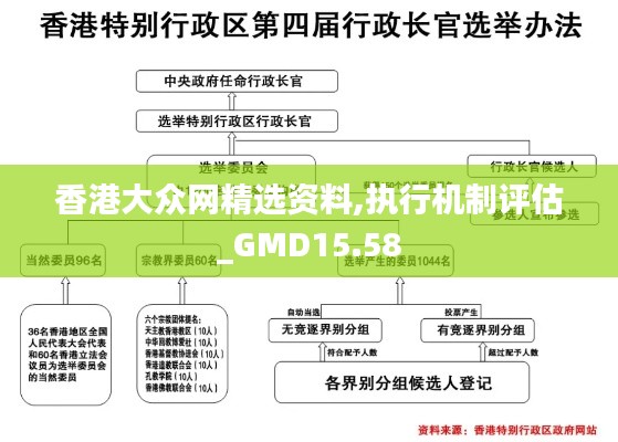 香港大众网精选资料,执行机制评估_GMD15.58