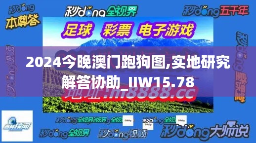 2024今晚澳门跑狗图,实地研究解答协助_IIW15.78