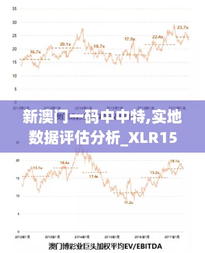 新澳门一码中中特,实地数据评估分析_XLR15.94