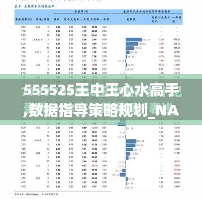 555525王中王心水高手,数据指导策略规划_NAR15.44