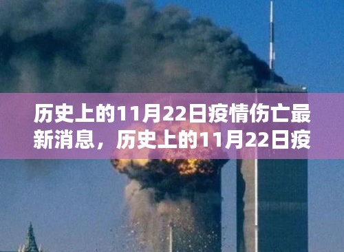 历史上的11月22日疫情伤亡最新消息，深度分析与观点阐述