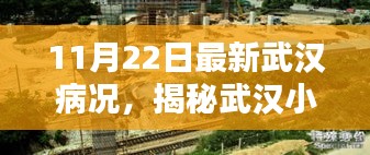 武汉小巷深处的独特风味，揭秘疫情下的意外发现与最新病况观察