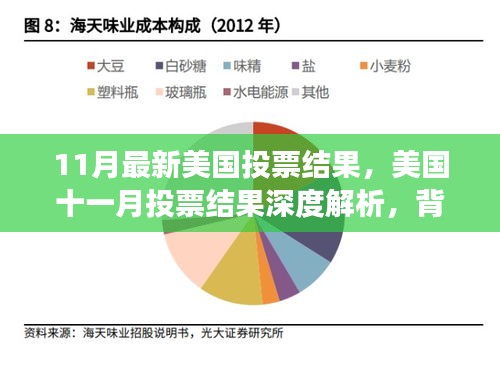 美国11月投票结果深度解析，背景、进展与长远影响探讨