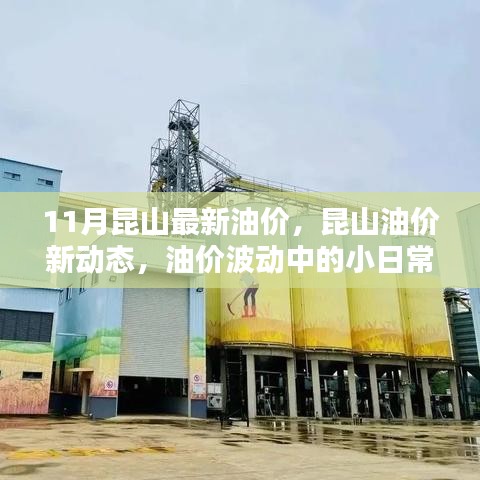 昆山油价最新动态，波动中的日常与友情深度剖析