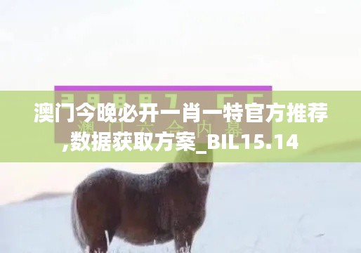 澳门今晚必开一肖一特官方推荐,数据获取方案_BIL15.14