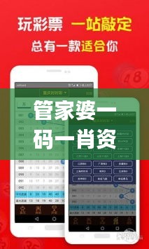 管家婆一码一肖资料,执行验证计划_CGP15.12