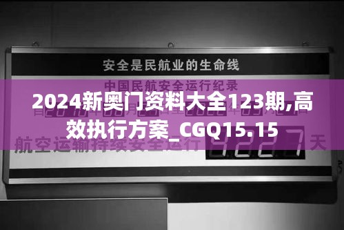 2024新奥门资料大全123期,高效执行方案_CGQ15.15