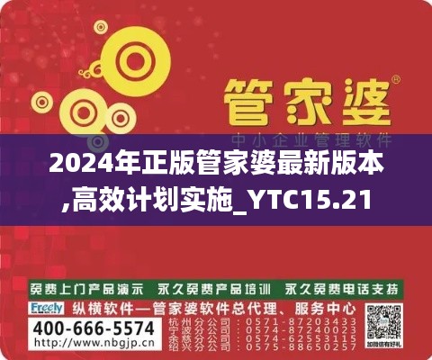 2024年正版管家婆最新版本,高效计划实施_YTC15.21