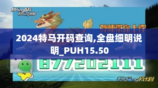 2024特马开码查询,全盘细明说明_PUH15.50