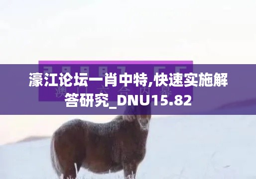 濠江论坛一肖中特,快速实施解答研究_DNU15.82