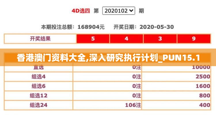 香港澳门资料大全,深入研究执行计划_PUN15.1