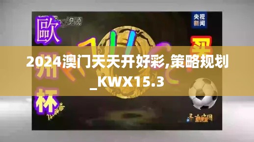 2024澳门天天开好彩,策略规划_KWX15.3