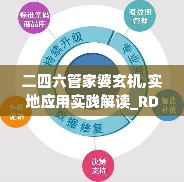 二四六管家婆玄机,实地应用实践解读_RDG15.95