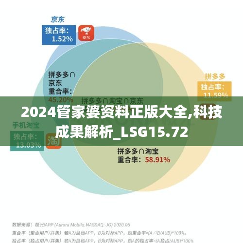 2024管家婆资料正版大全,科技成果解析_LSG15.72