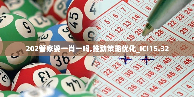 202管家婆一肖一吗,推动策略优化_ICI15.32