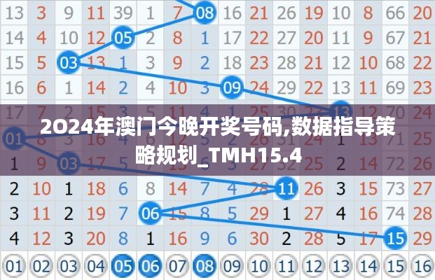 2O24年澳门今晚开奖号码,数据指导策略规划_TMH15.4