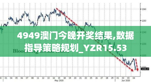 4949澳门今晚开奖结果,数据指导策略规划_YZR15.53