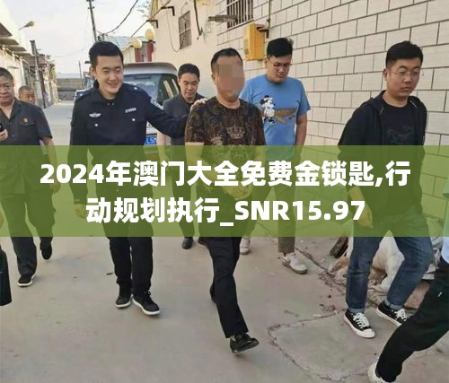 2024年澳门大全免费金锁匙,行动规划执行_SNR15.97