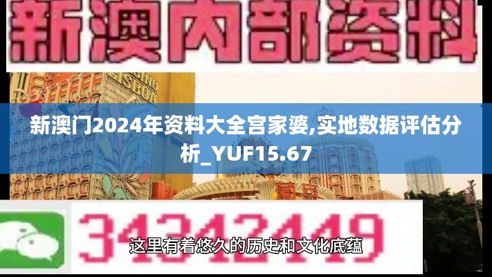 新澳门2024年资料大全宫家婆,实地数据评估分析_YUF15.67