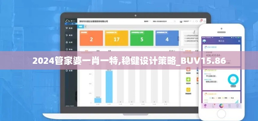 2024管家婆一肖一特,稳健设计策略_BUV15.86