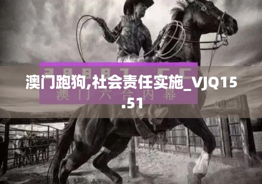 澳门跑狗,社会责任实施_VJQ15.51