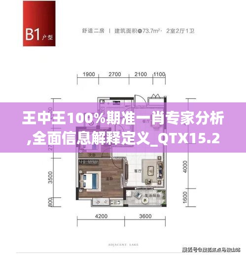 王中王100%期准一肖专家分析,全面信息解释定义_QTX15.27