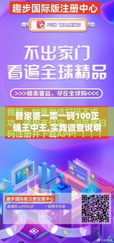 管家婆一票一码100正确王中王,实践调查说明_QOR15.88