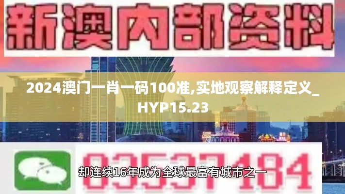 2024澳门一肖一码100准,实地观察解释定义_HYP15.23