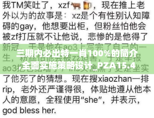 三期内必出特一肖100%的简介,全面实施策略设计_PZA15.4