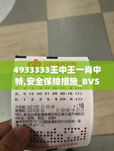 4933333王中王一肖中特,安全保障措施_BVS15.33