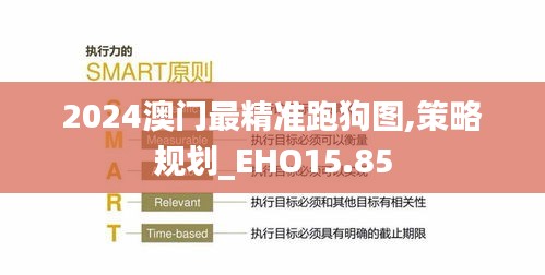 2024澳门最精准跑狗图,策略规划_EHO15.85