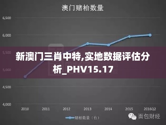 新澳门三肖中特,实地数据评估分析_PHV15.17