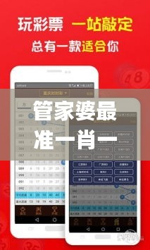 管家婆最准一肖一特,实时更新解释介绍_LHT15.62