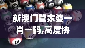 新澳门管家婆一肖一码,高度协调实施_HOQ15.59