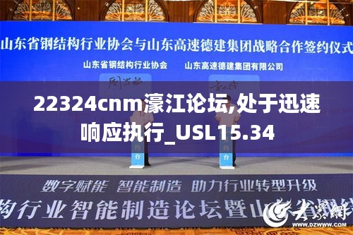 22324cnm濠江论坛,处于迅速响应执行_USL15.34