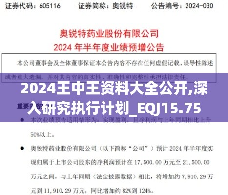 2024王中王资料大全公开,深入研究执行计划_EQJ15.75