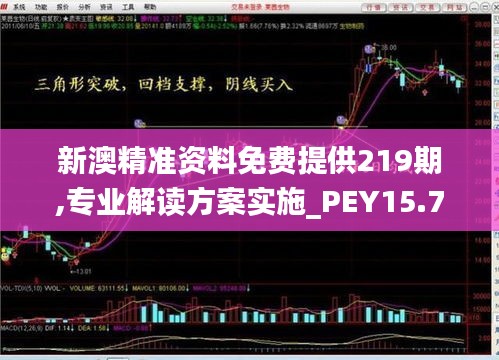 新澳精准资料免费提供219期,专业解读方案实施_PEY15.77