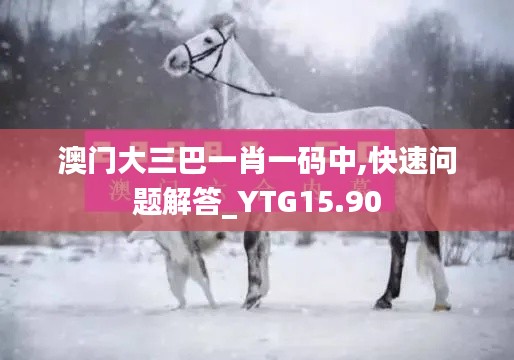 澳门大三巴一肖一码中,快速问题解答_YTG15.90