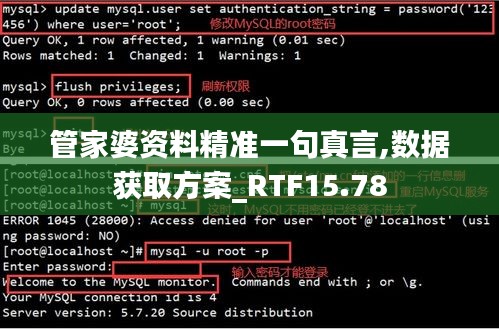 管家婆资料精准一句真言,数据获取方案_RTF15.78