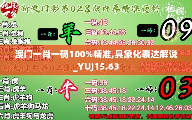 澳门一肖一码100%精准,具象化表达解说_YUJ15.63