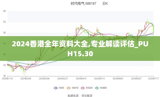 2024香港全年资料大全,专业解读评估_PUH15.30