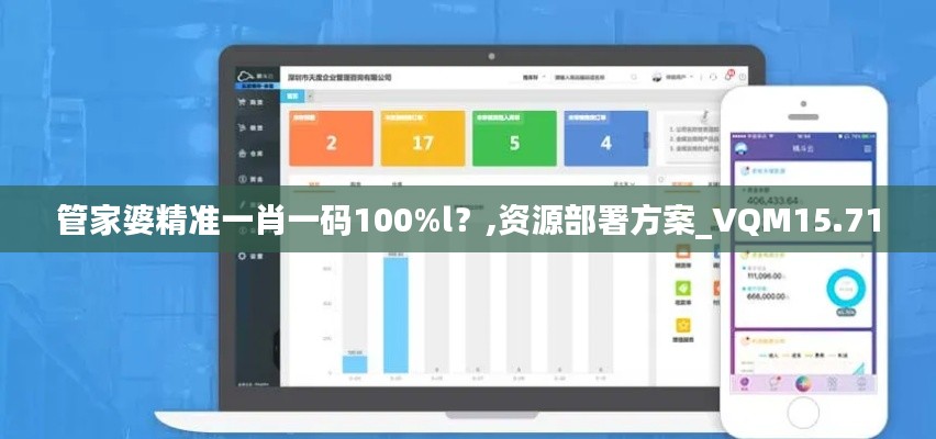 管家婆精准一肖一码100%l？,资源部署方案_VQM15.71