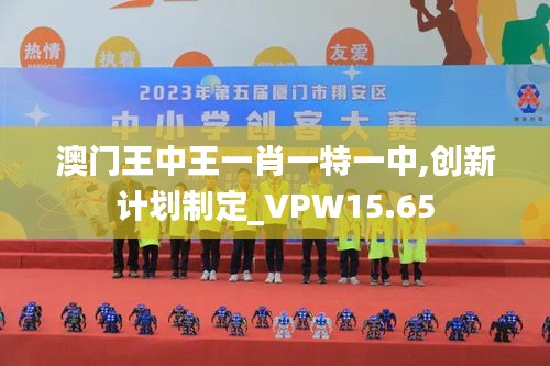 澳门王中王一肖一特一中,创新计划制定_VPW15.65